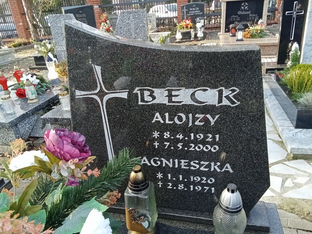 Grób Alojzy Beck