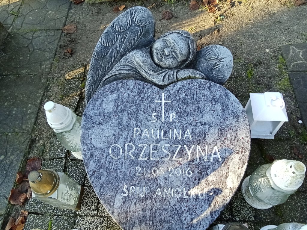 Grób Paulina Orzeszyna
